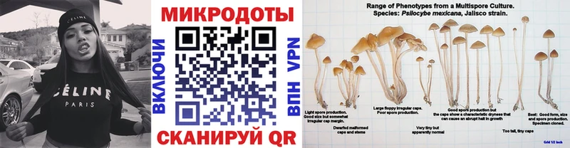 где можно купить наркотик  mega ссылки  Псилоцибиновые грибы ЛСД  Асино 